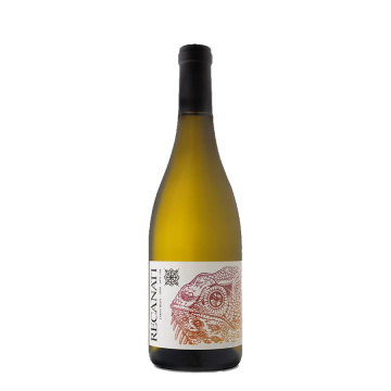 רקנאטי שנין בלאן - Recanati Chenin Blanc