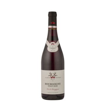 בורגון פינו נואר ראן פדוק - Reine Pédauque Bourgogne Pinot Noir